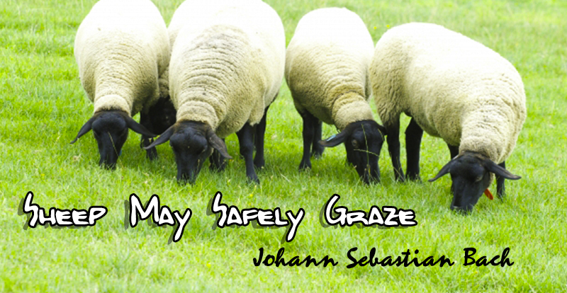 J.S.バッハ：羊は安らかに草を食み （狩のカンタータ）ギターアレンジ　