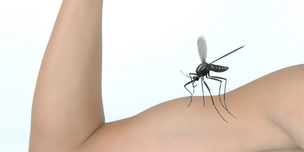 蚊が飛ぶプーンという音の効果音